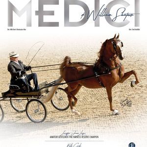 Meet your Posher, Bill